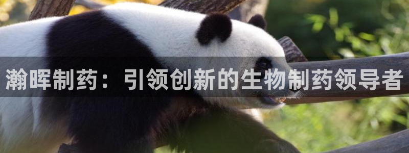 九游会老哥必备的交流社区：瀚晖制药：引领创新的生物制药领导者