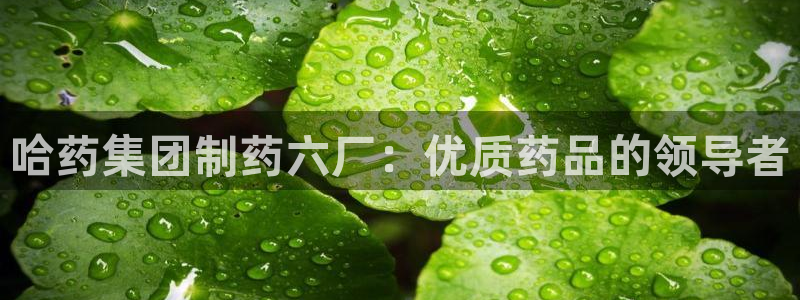 九游会老哥俱乐部必备的交流社区：哈药集团制药六厂：优质药品的领导者
