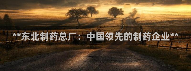 老哥俱乐部是干什么的啊：**东北制药总厂：中国领先的制药企业**