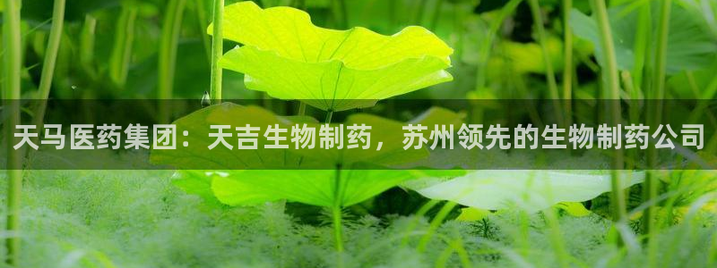 九游老哥俱乐部官网登录入口：天马医药集团：天吉生物制药，苏州领先的生物制药公司