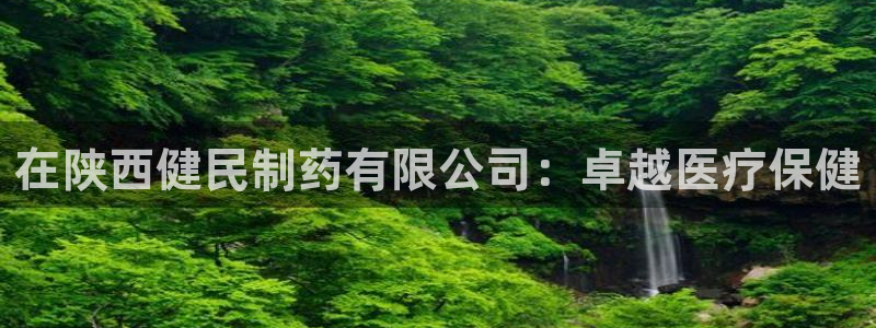ag九游会老哥俱乐部：在陕西健民制药有限公司：卓越医疗保健