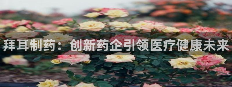 九游会老哥俱乐部官方网站：拜耳制药：创新药企引领医疗健康未来