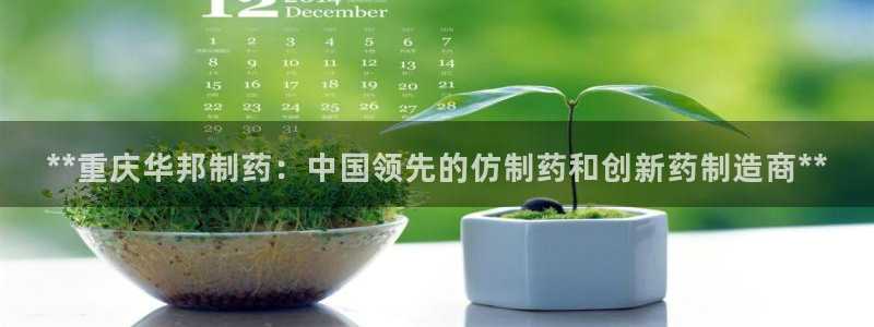 ag九游老哥俱乐部：**重庆华邦制药：中国领先的仿制药和创新药制造商**