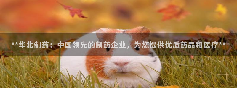 九游老哥俱乐部官网登录网址：**华北制药：中国领先的制药企业，为您提供优质药品和医疗**