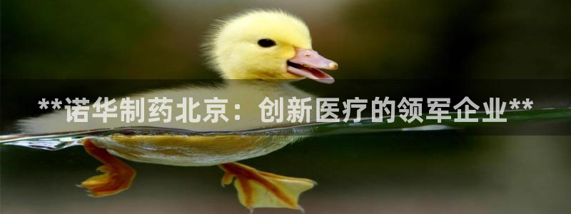 ag九游老哥俱乐部：**诺华制药北京：创新医疗的领军企业**