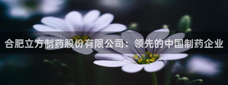 九游会老哥俱乐部官网首页：合肥立方制药股份有限公司：领先的中国制药企业