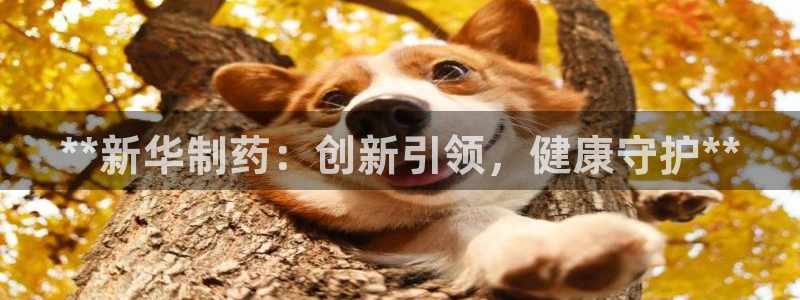 老哥吧九游会下架吗：**新华制药：创新引领，健康守护**