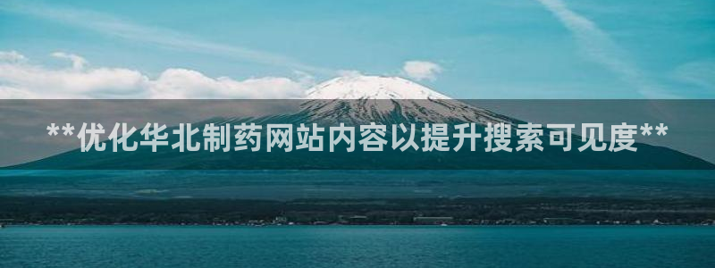 九游会老哥必备的交流社区九：**优化华北制药网站内容以提升搜索可见度**