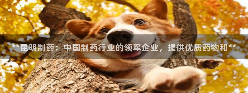 九游会老哥俱乐部社区论坛：**昆明制药：中国制药行业的领军企业，提供优质药物和**