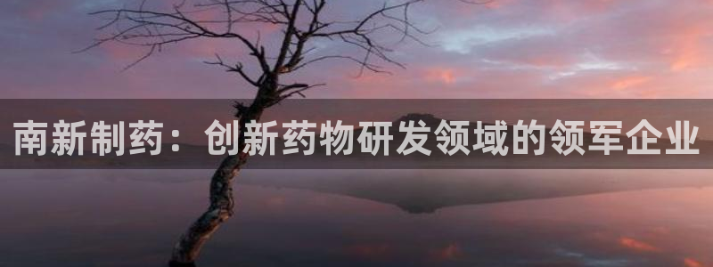 九游会老哥俱乐部论坛版：南新制药：创新药物研发领域的领军企业