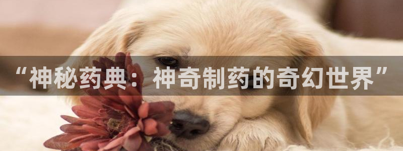 九游会老哥俱乐部官网首页论坛：“神秘药典：神奇制药的奇幻世界”