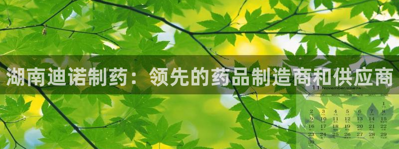 ag九游会老哥俱乐部：湖南迪诺制药：领先的药品制造商和供应商