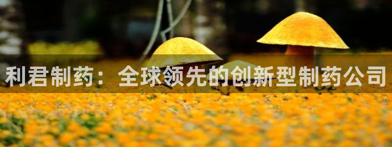九游会老哥俱乐部论坛版：利君制药：全球领先的创新型制药公司