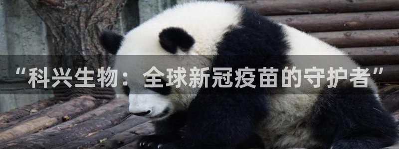 九游老哥俱乐部官网登录：“科兴生物：全球新冠疫苗的守护者”