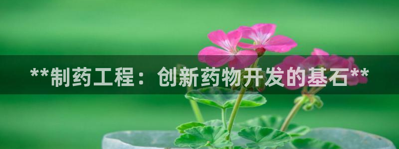 九游会老哥必备的交流社区：**制药工程：创新药物开发的基石**