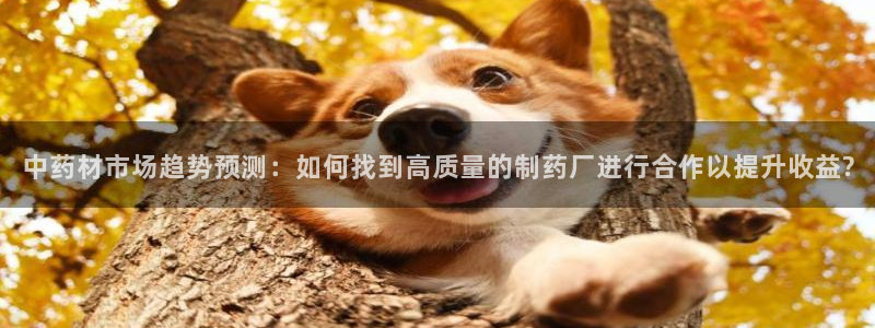 九游会老哥必备的交流社区九：中药材市场趋势预测：如何找到高质量的制药厂进行合作以提升收益?