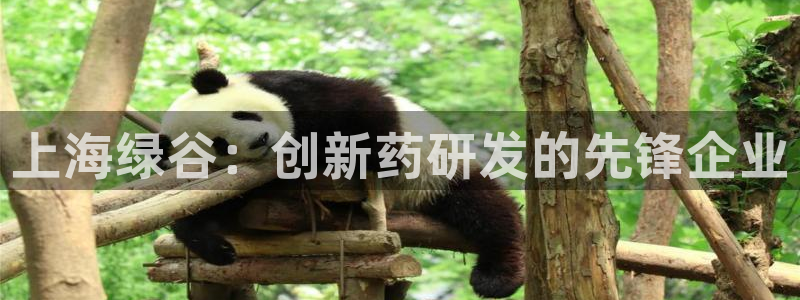 九游会老哥俱乐部必备的交流社区