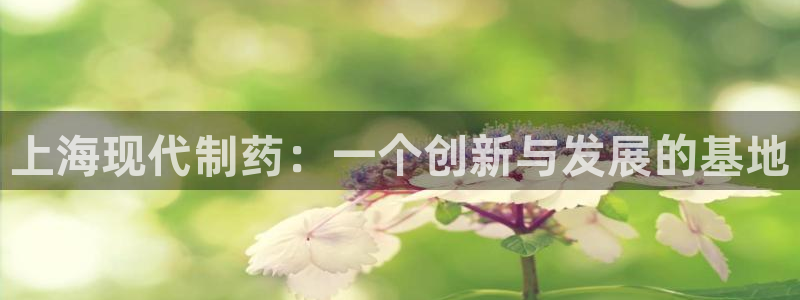 ag九游老哥俱乐部：上海现代制药：一个创新与发展的基地