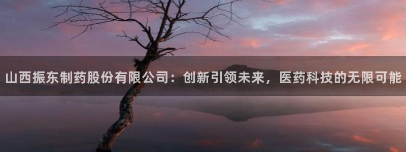 9游会老哥：山西振东制药股份有限公司：创新引领未来，医药科技的无限可能