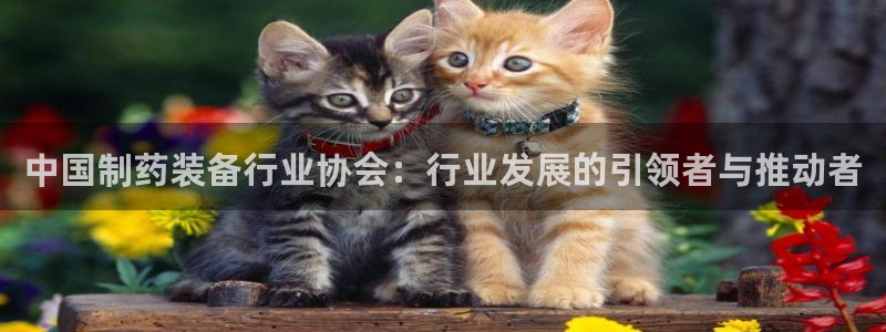 九游会老哥必备的交流社区九：中国制药装备行业协会：行业发展的引领者与推动者