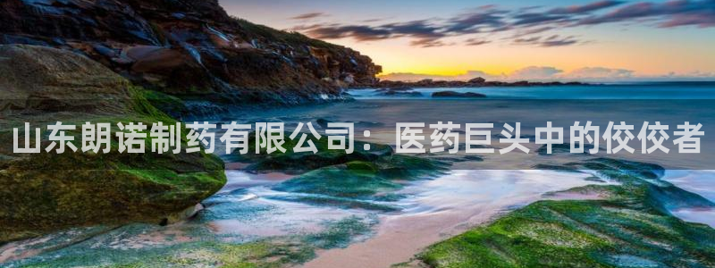 九游会老哥俱乐部官方网站：山东朗诺制药有限公司：医药巨头中的佼佼者