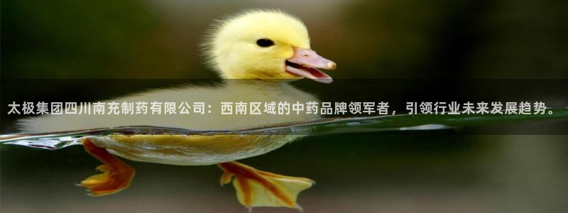 九游会老哥俱乐部官网首页论坛：太极集团四川南充制药有限公司：西南区域的中药品牌领军者，引领行业未来发展趋势。