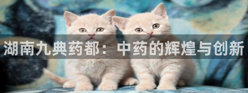 九游老哥俱乐部官网登录网址：湖南九典药都：中药的辉煌与创新
