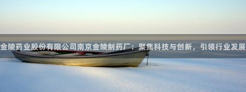九游会老哥：金陵药业股份有限公司南京金陵制药厂：聚焦科技与创新，引领行业发展