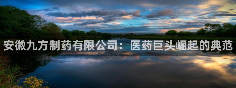 ag九游会老哥：安徽九方制药有限公司：医药巨头崛起的典范