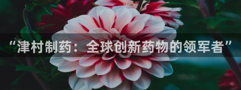 9游会老哥：“津村制药：全球创新药物的领军者”
