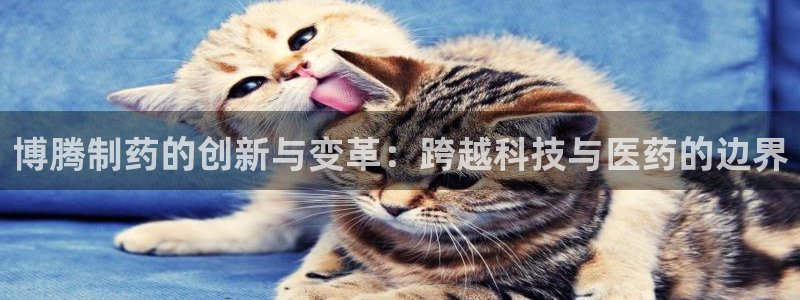 老哥吧九游会：博腾制药的创新与变革：跨越科技与医药的边界