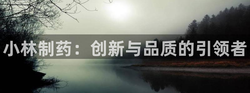 9游会老哥：小林制药：创新与品质的引领者