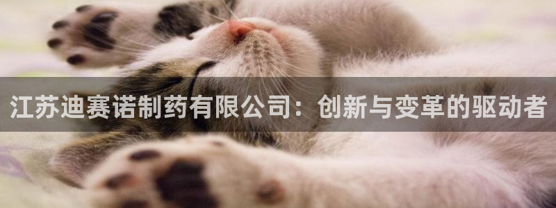 九游会老哥俱乐部官网首页：江苏迪赛诺制药有限公司：创新与变革的驱动者
