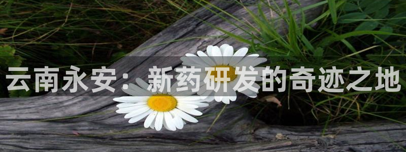 九游会老哥俱乐部社区论坛：云南永安：新药研发的奇迹之地