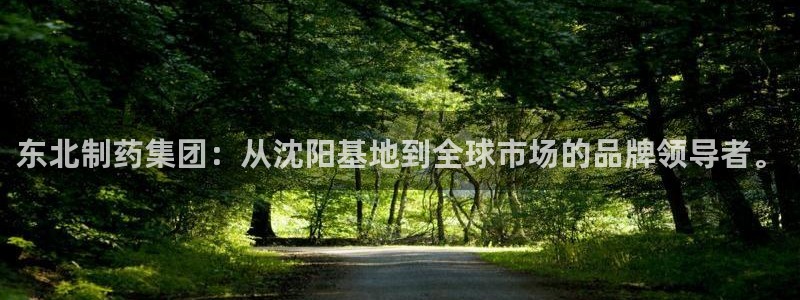 ag九游会老哥：东北制药集团：从沈阳基地到全球市场的品牌领导者。