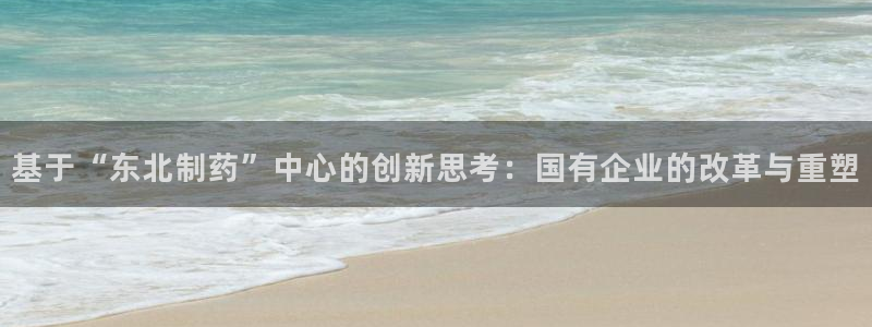 九游会老哥俱乐部交流社区：基于“东北制药”中心的创新思考：国有企业的改革与重塑