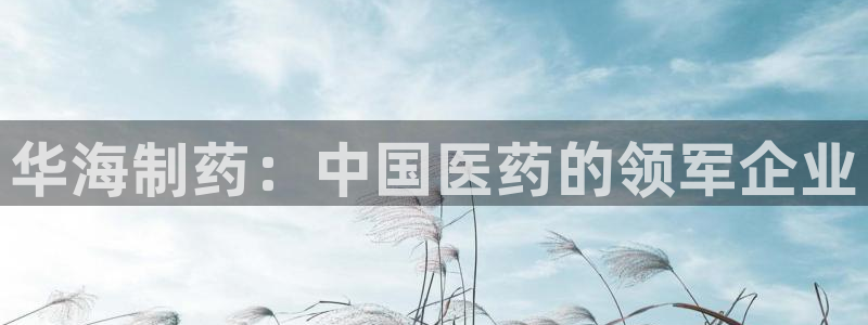 ag九游老哥俱乐部：华海制药：中国医药的领军企业