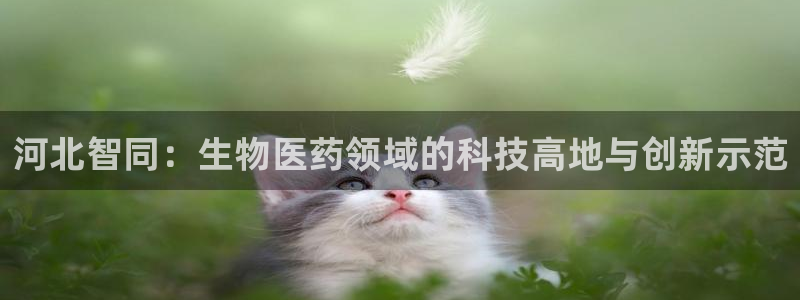 九游会老哥俱乐部：河北智同：生物医药领域的科技高地与创新示范