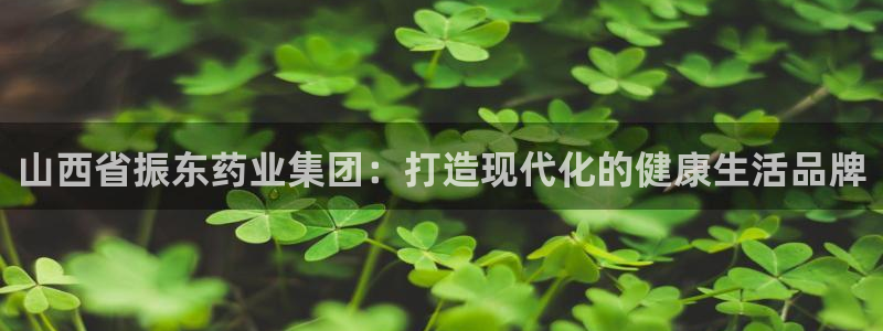 老哥俱乐部是干什么的：山西省振东药业集团：打造现代化的健康生