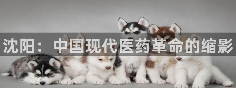 九游会老哥俱乐部：沈阳：中国现代医药革命的缩影