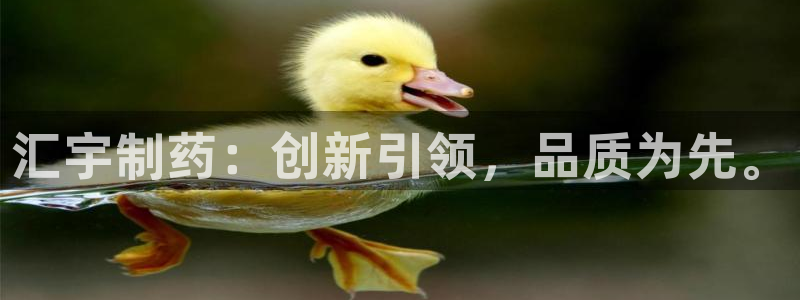 九游会老哥俱乐部必备的交流社区：汇宇制药：创新引领，品质为先。