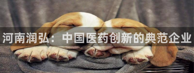 老哥俱乐部是干什么的：河南润弘：中国医药创新的典范企业