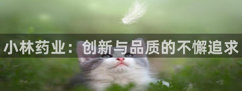九游老哥俱乐部登录：小林药业：创新与品质的不懈追求