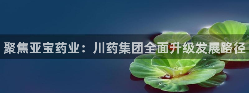 ag九游会老哥：聚焦亚宝药业：川药集团全面升级发展路径