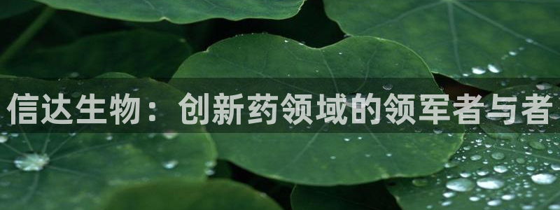 九游老哥俱乐部官网登录：信达生物：创新药领域的领军者与者