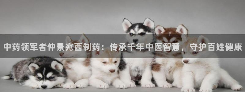 老哥吧九游会下架吗：中药领军者仲景宛西制药：传承千年中医智慧，守护百姓健康