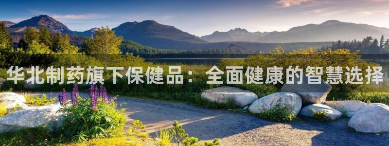 九游会老哥俱乐部官网首页论坛：华北制药旗下保健品：全面健康的智慧选择