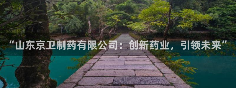 九游会老哥：“山东京卫制药有限公司：创新药业，引领未来”