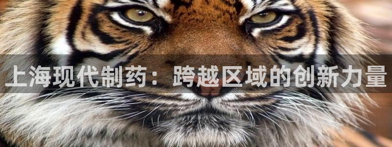 九游会老哥俱乐部社区论坛：上海现代制药：跨越区域的创新力量